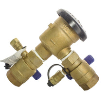 Load image into Gallery viewer, Wilkins - 1-720A - 1" PVB, Pressure Vacuum Breaker (Standard)