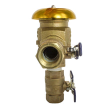 Load image into Gallery viewer, Febco - 765EBVFEB - Model 765, 1" Pressure Vacuum Breaker, w/Ball Valve