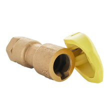 Load image into Gallery viewer, Rain Bird - 5RC - 1" Rubber Cover Coupling Valve

